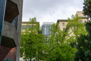 20220428Seattle-16.jpg